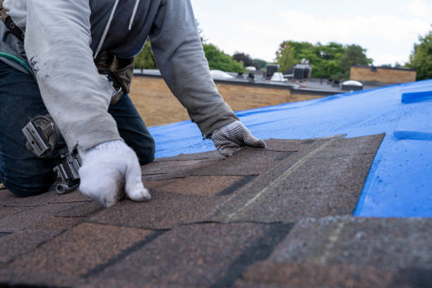 Best Metal Roofing Installation  in Freedom, PA