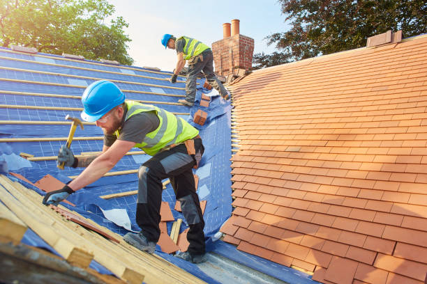Best Sheet Metal Roofing  in Freedom, PA